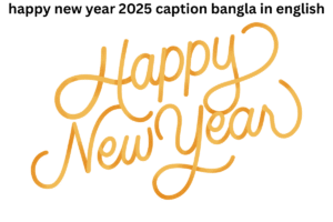 happy new year 2025 caption bangla in english