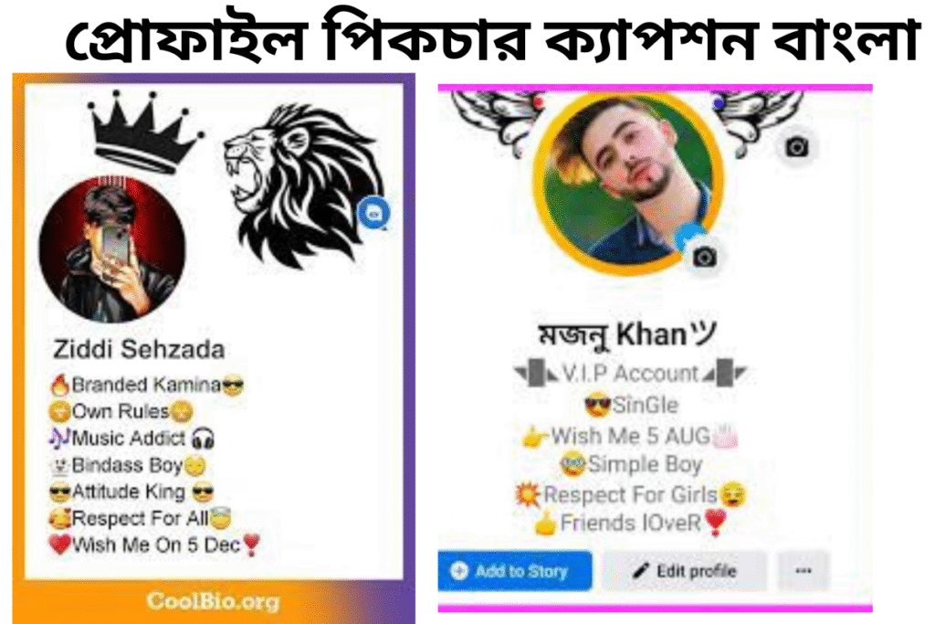 ২২৭+ প্রোফাইল পিকচার ক্যাপশন বাংলা | fb profile pic caption bangla