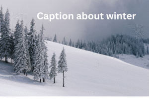 Caption about winter
