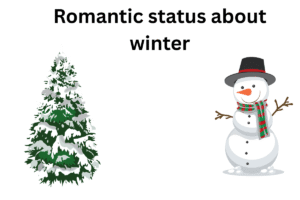 Romantic status about winter