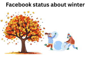 Facebook status about winter