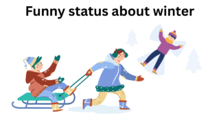 Funny status about winter