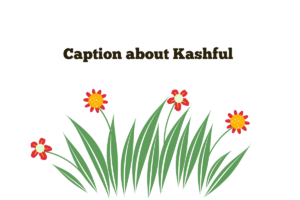 Caption about Kashful