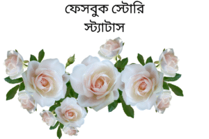 ফেসবুক স্টোরি স্ট্যাটাস