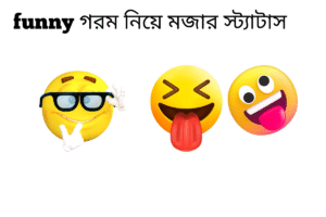 funny গরম নিয়ে মজার স্ট্যাটাস