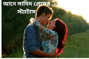 আনে সাদিদ প্রেমের স্ট্যাটাস