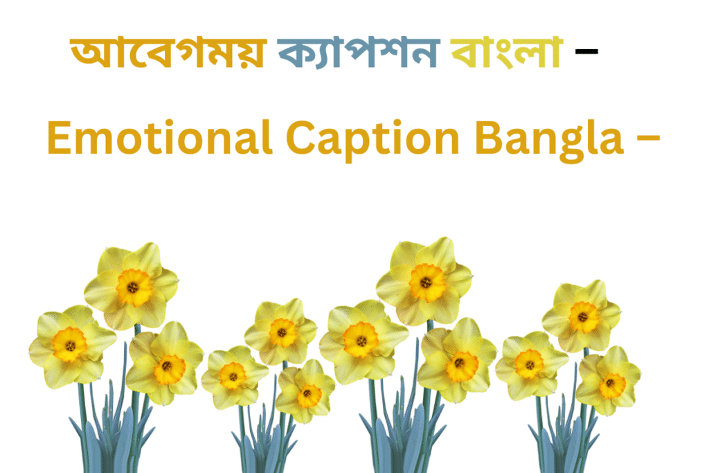 ইমোশনাল ক্যাপশন বাংলা – ইমোশনাল ফেসবুক ক্যাপশন – ছেলেদের ইমোশনাল স্ট্যাটাস