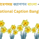 ইমোশনাল ক্যাপশন বাংলা – ইমোশনাল ফেসবুক ক্যাপশন – ছেলেদের ইমোশনাল স্ট্যাটাস