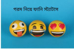 গরম নিয়ে ফানি স্ট্যাটাস