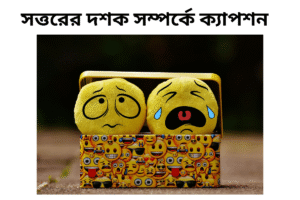 সত্তরের দশক সম্পর্কে ক্যাপশন 