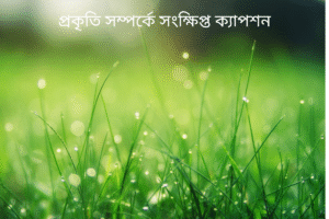 প্রকৃতি সম্পর্কে সংক্ষিপ্ত ক্যাপশন