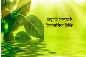 প্রকৃতি সম্পর্কে ইসলামিক উক্তি