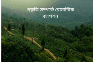 প্রকৃতি সম্পর্কে রোমান্টিক ক্যাপশন