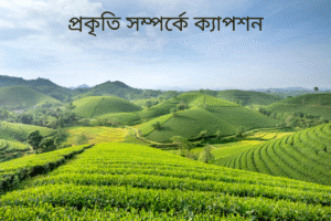 প্রকৃতি সম্পর্কে ক্যাপশন 
