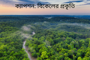 ক্যাপশন: বিকেলের প্রকৃতি 