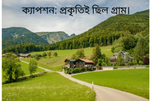 ক্যাপশন: প্রকৃতিই ছিল গ্রাম।