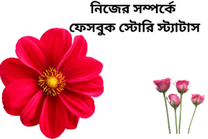 নিজের সম্পর্কে ফেসবুক স্টোরি স্ট্যাটাস