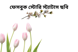 ফেসবুক স্টোরি স্ট্যাটাস ছবি