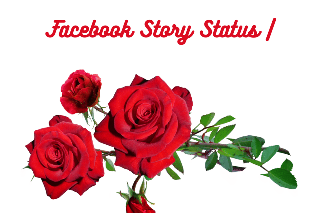 Facebook Story Status |
