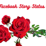 Facebook Story Status |
