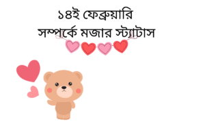 ১৪ই ফেব্রুয়ারি সম্পর্কে মজার স্ট্যাটাস 