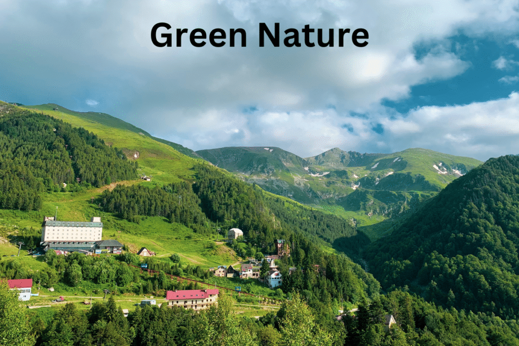 ৩০০+ প্রকৃতি নিয়ে ক্যাপশন | সবুজ প্রকৃতি নিয়ে ক্যাপশন