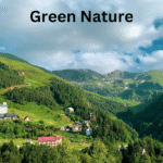 ৩০০+ প্রকৃতি নিয়ে ক্যাপশন | সবুজ প্রকৃতি নিয়ে ক্যাপশন