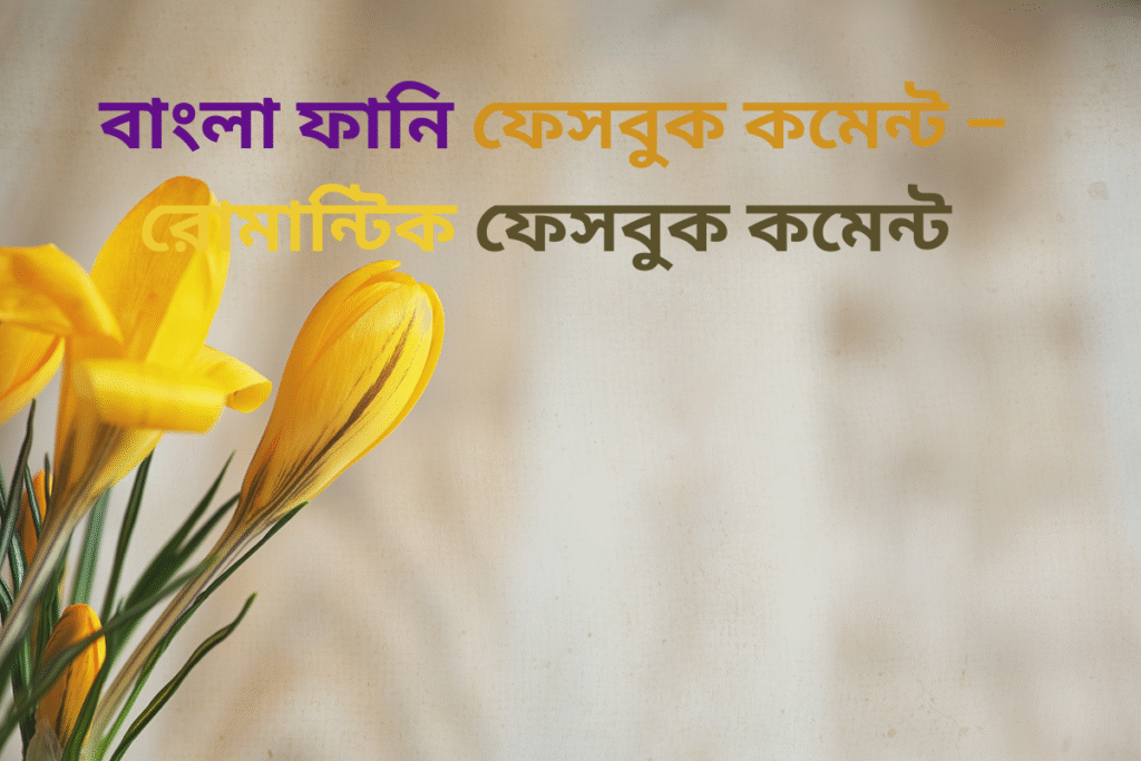 অসাধারণ ফেসবুক কমেন্ট – বাংলা ফানি ফেসবুক কমেন্ট – রোমান্টিক ফেসবুক কমেন্ট