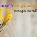 অসাধারণ ফেসবুক কমেন্ট – বাংলা ফানি ফেসবুক কমেন্ট – রোমান্টিক ফেসবুক কমেন্ট