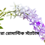 Romantic Caption Bangla